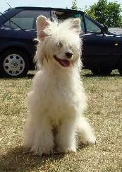 Bummi Benedikt Mitau