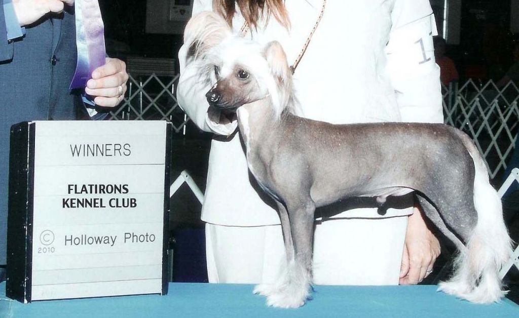 Konishiki Bluff Backchat