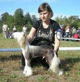 Olegro Katrin Olimpik Gold