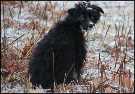 Casa Del Caboom's Dominic