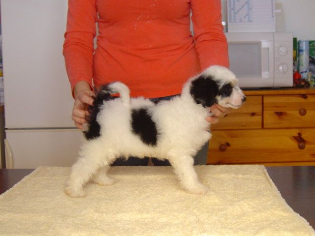 Jupiter Certova stena