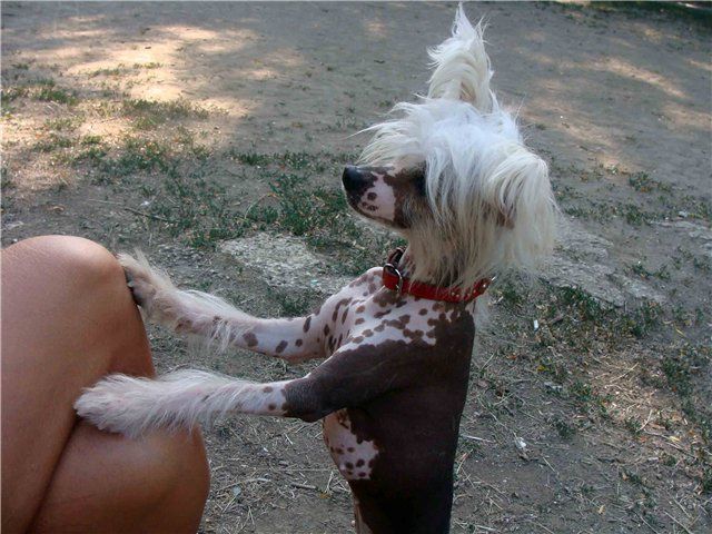 Dominika Black of Channel