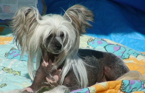 Illusion's Riot In Cell Block 9