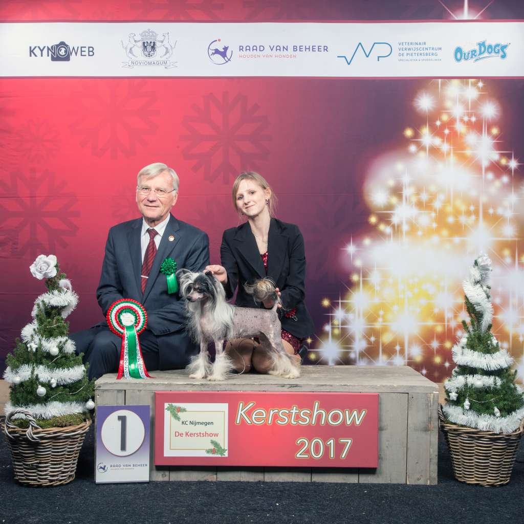 Elegance Easy Going Diamond Place