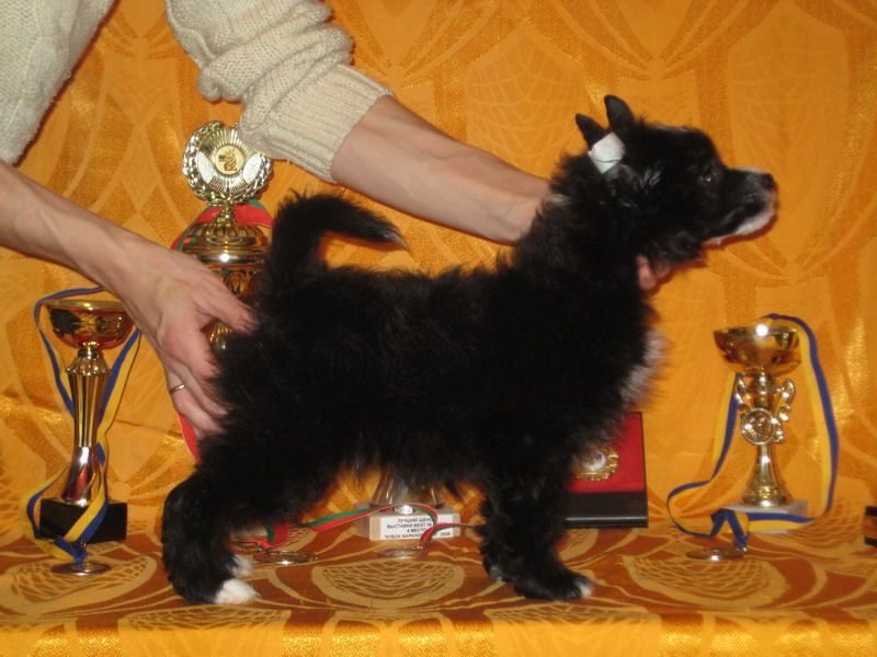 Lus'en Eloks Bekingem