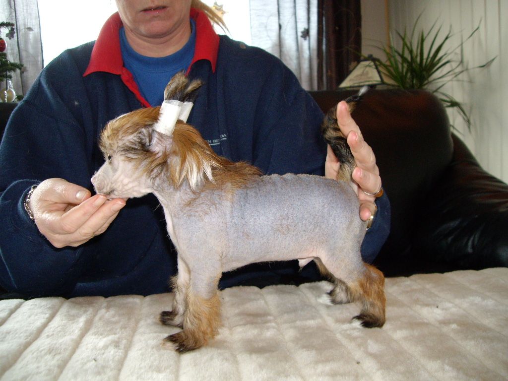 Blå Mandag's Man in Red