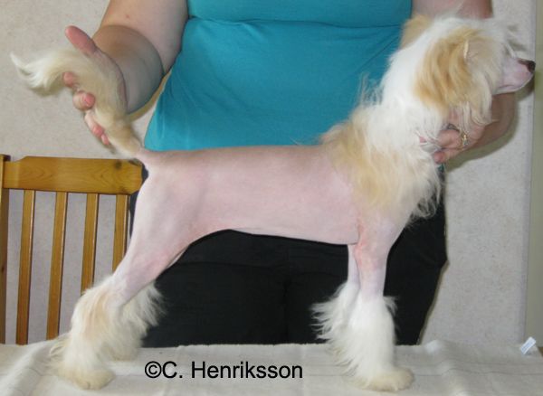 Paw-a-dee Jailer Jane