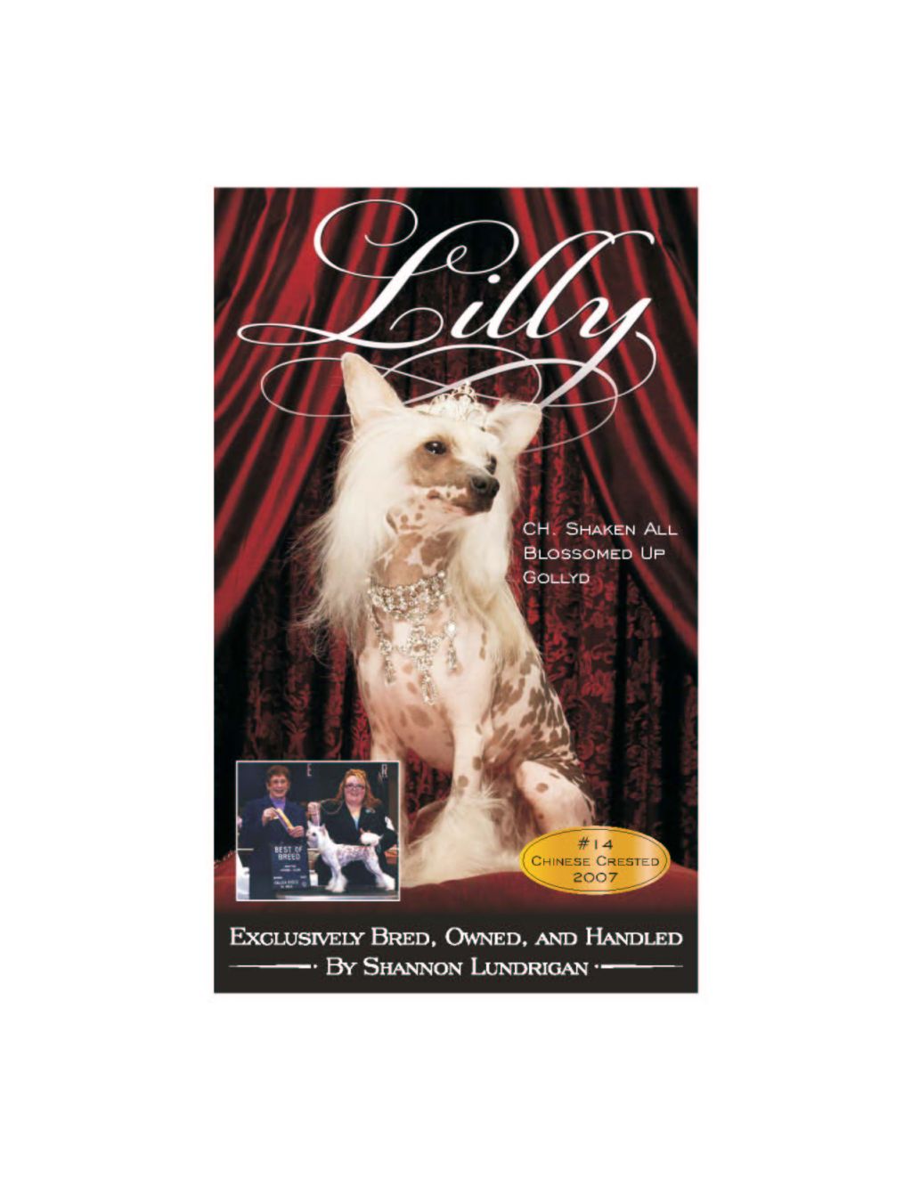 Shaken All Blossomed Up GollyD