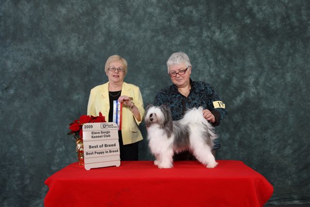 Mozanbridge Needs a Hug Gardine