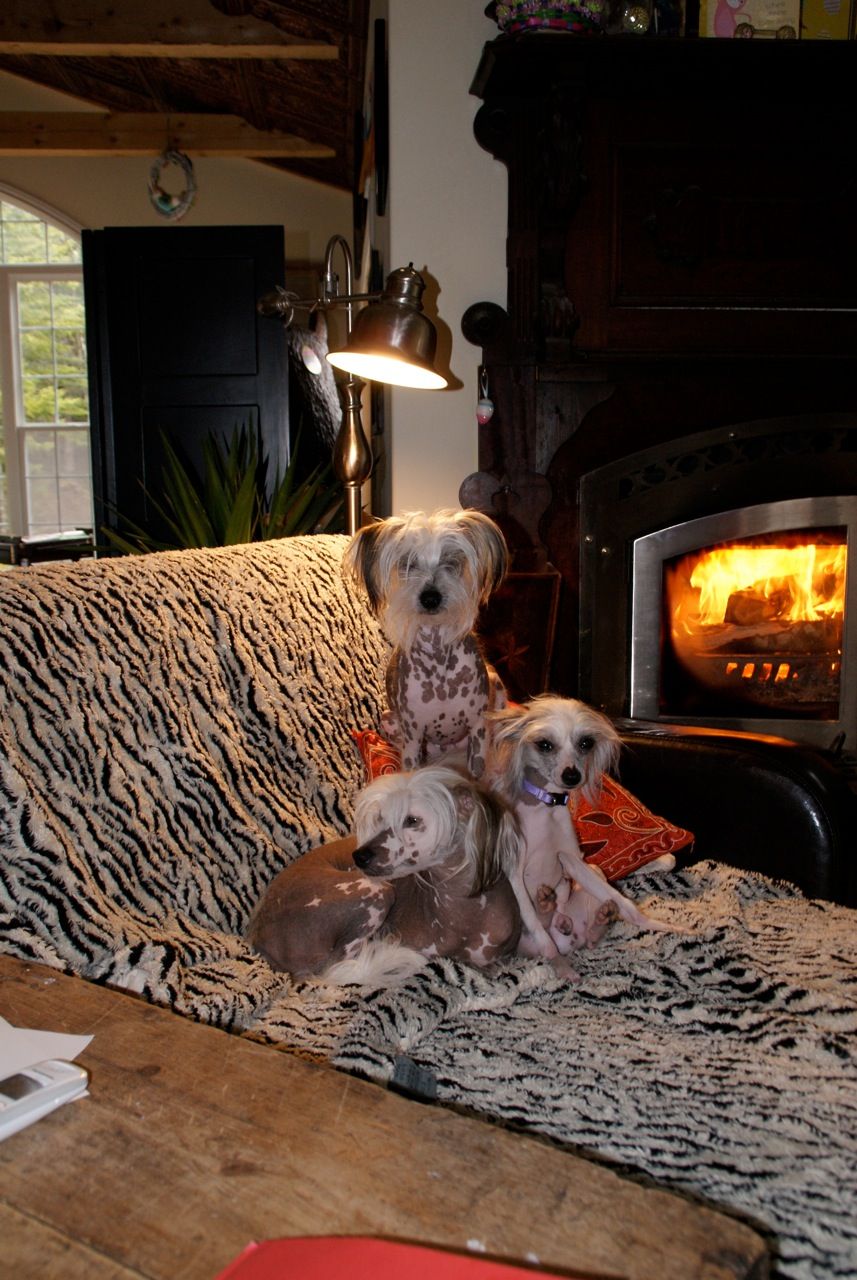 Brains Over Brawn Gardine