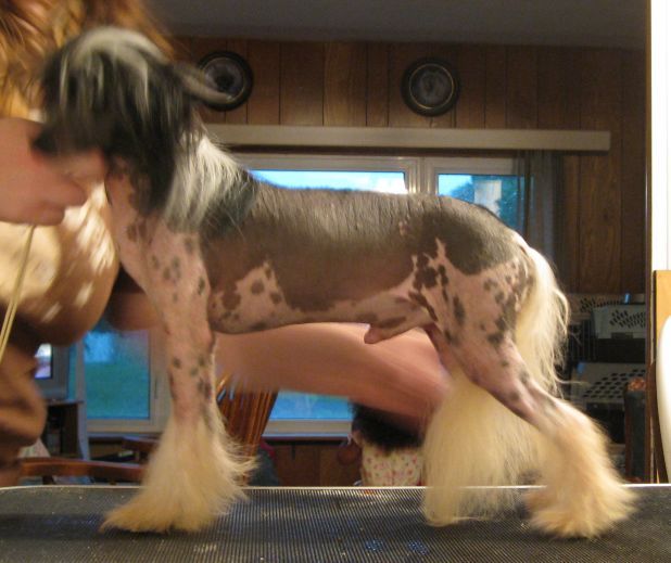 Repeat Offender at Gardine