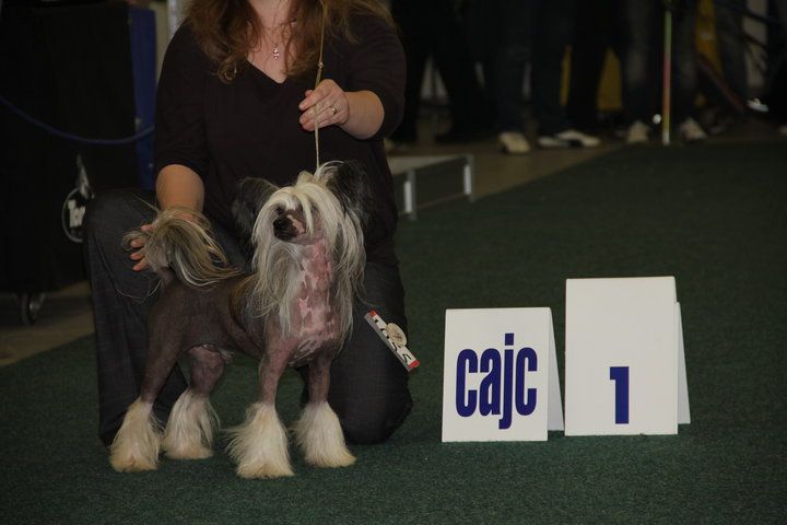 Four Seasons  Roztocka Hvezda