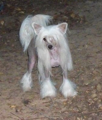 Mosaic - Spiritual Hot Topic