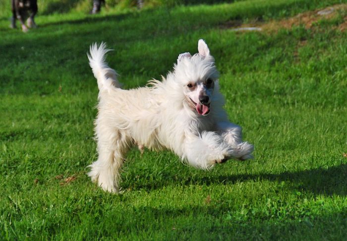 Cool Crowd's Fabulous Michael Scofield