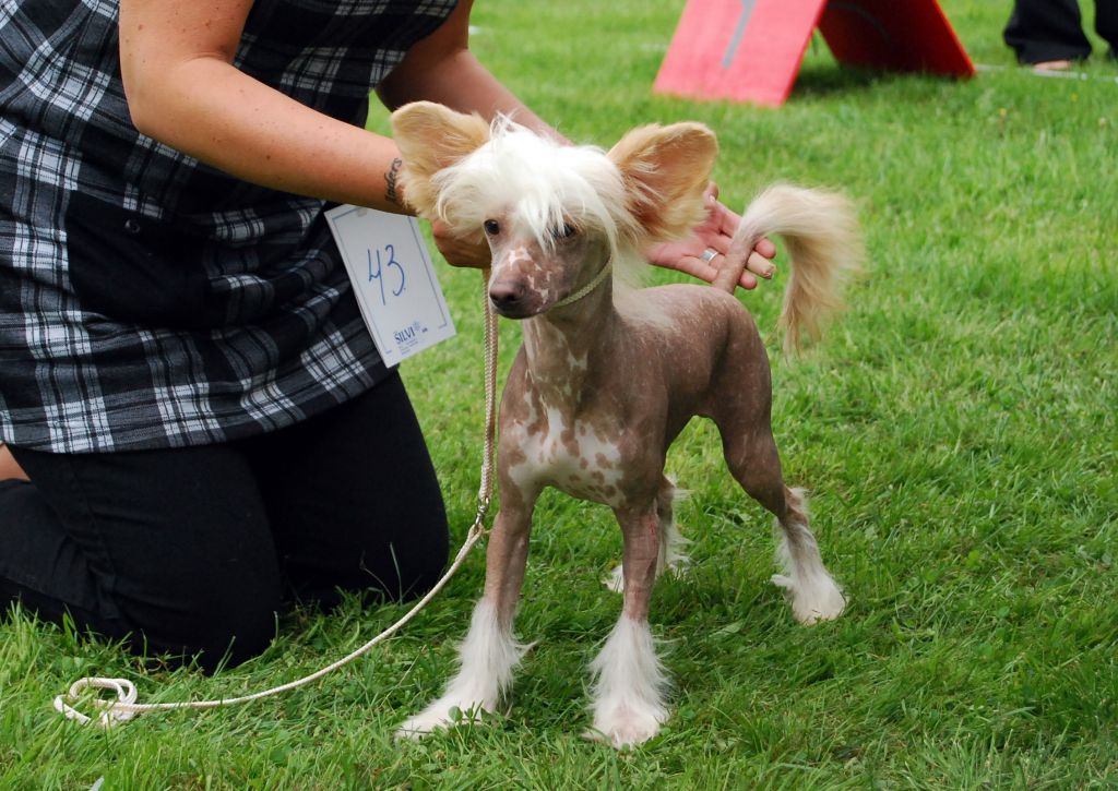 Cool Crowd's Fabulous Fernando Sucre