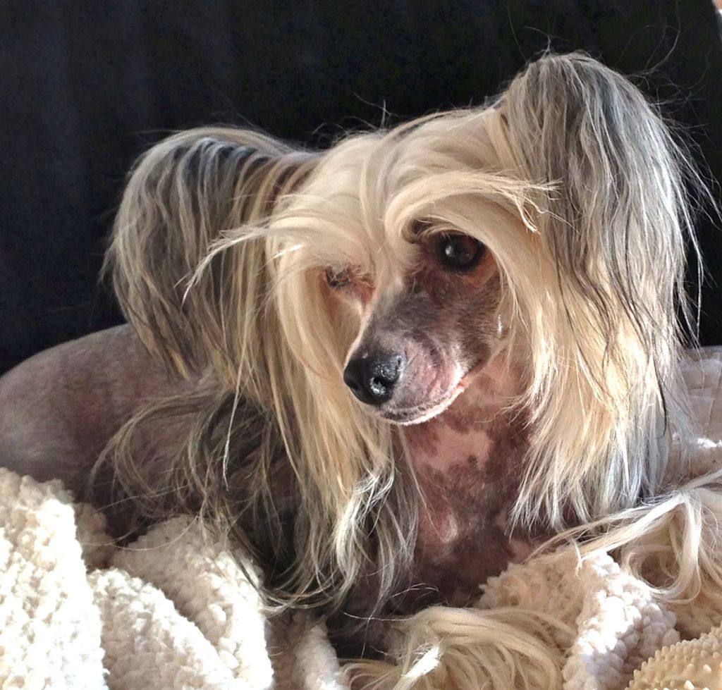 Bodeswell Almost A Secret