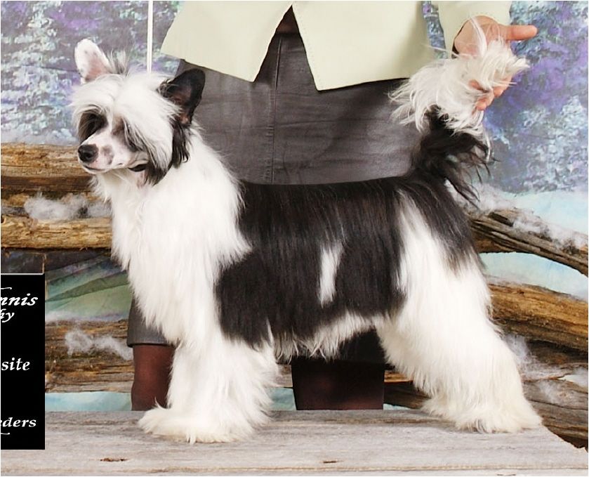  Bodeswell Ghostly Secrets