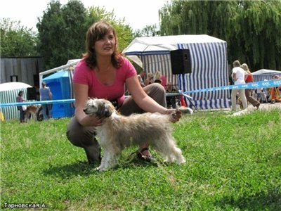 Mon Cher Petit Empereur Petr