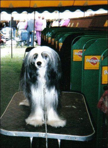 Bryelis Mystere De Rochas