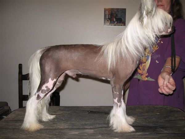 Merlyn Lasting Excellence