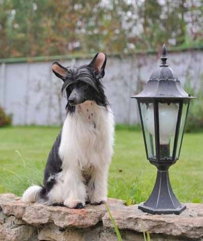 Volshebnaja Loshadka Virgin doll 