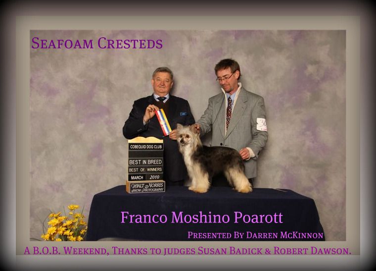 Franco Moschino Poarott