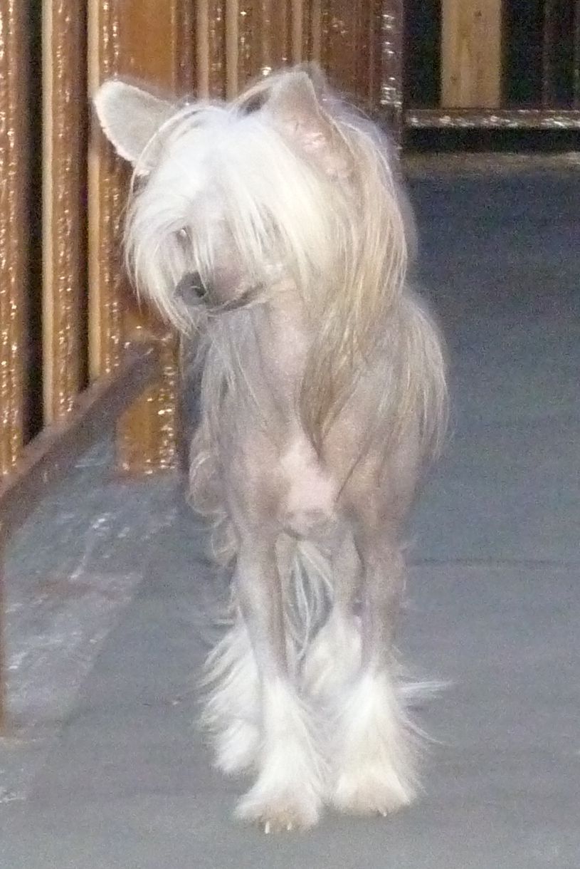 Arleta Ruzový diamant