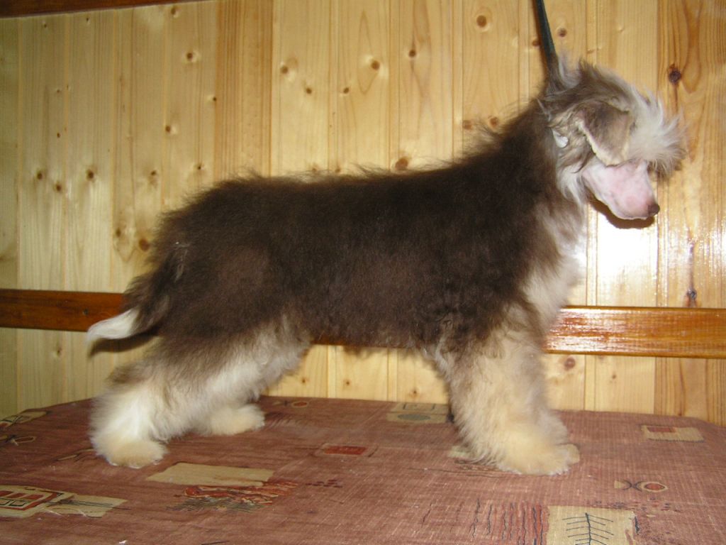 Rus Foreva Talisman Pobedy