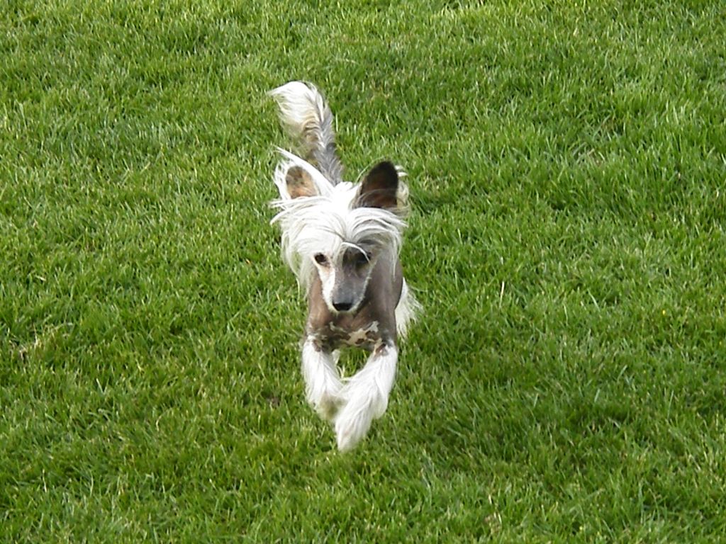 Zoja v. Schloss Neuschwanstein