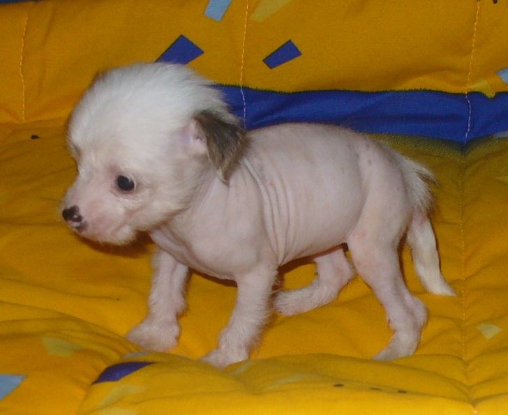  Luce Solare Armonia di Colori