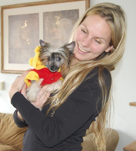 Origine Samba Sub-O-Divo