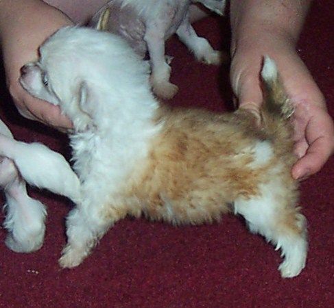 Mosaic's Believe In Me