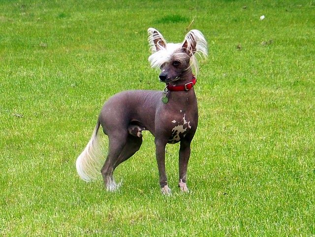 Future In The Past  Sasima