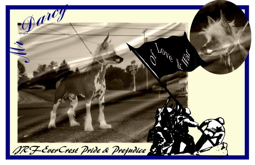 EverCrest-JRF Pride & Prejudice