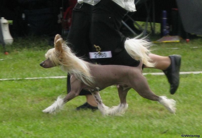 Bed'ykins Jingle Bell Rock