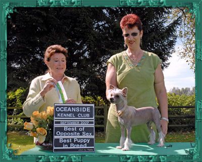 Sunberry's Pride N Joy