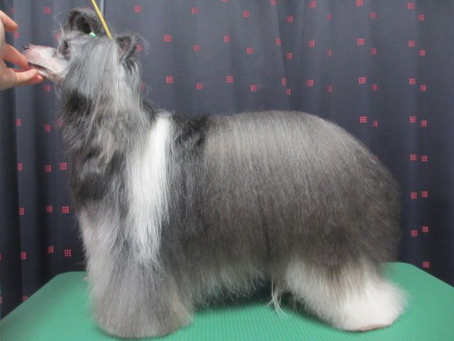 Rino Anne JP Teeny Weeny