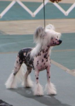 RyLaur's Lookin' for Trouble