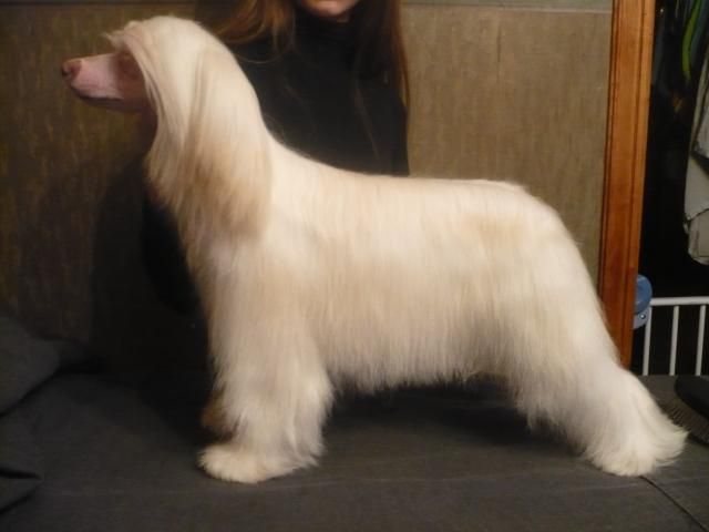 Mashama Mazi Rus Habiba Bayo