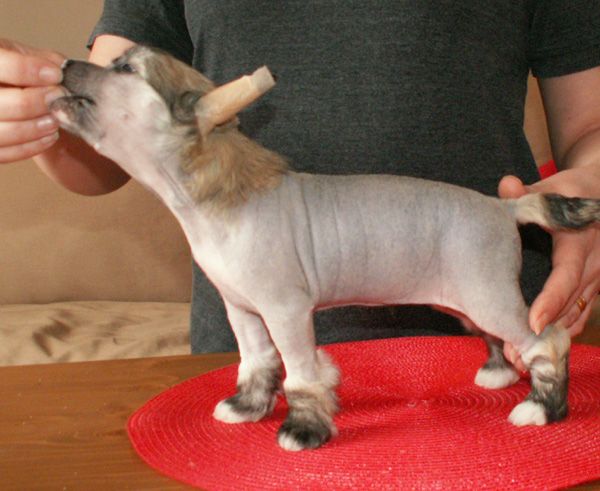 Beauty of XLNZ One in a million