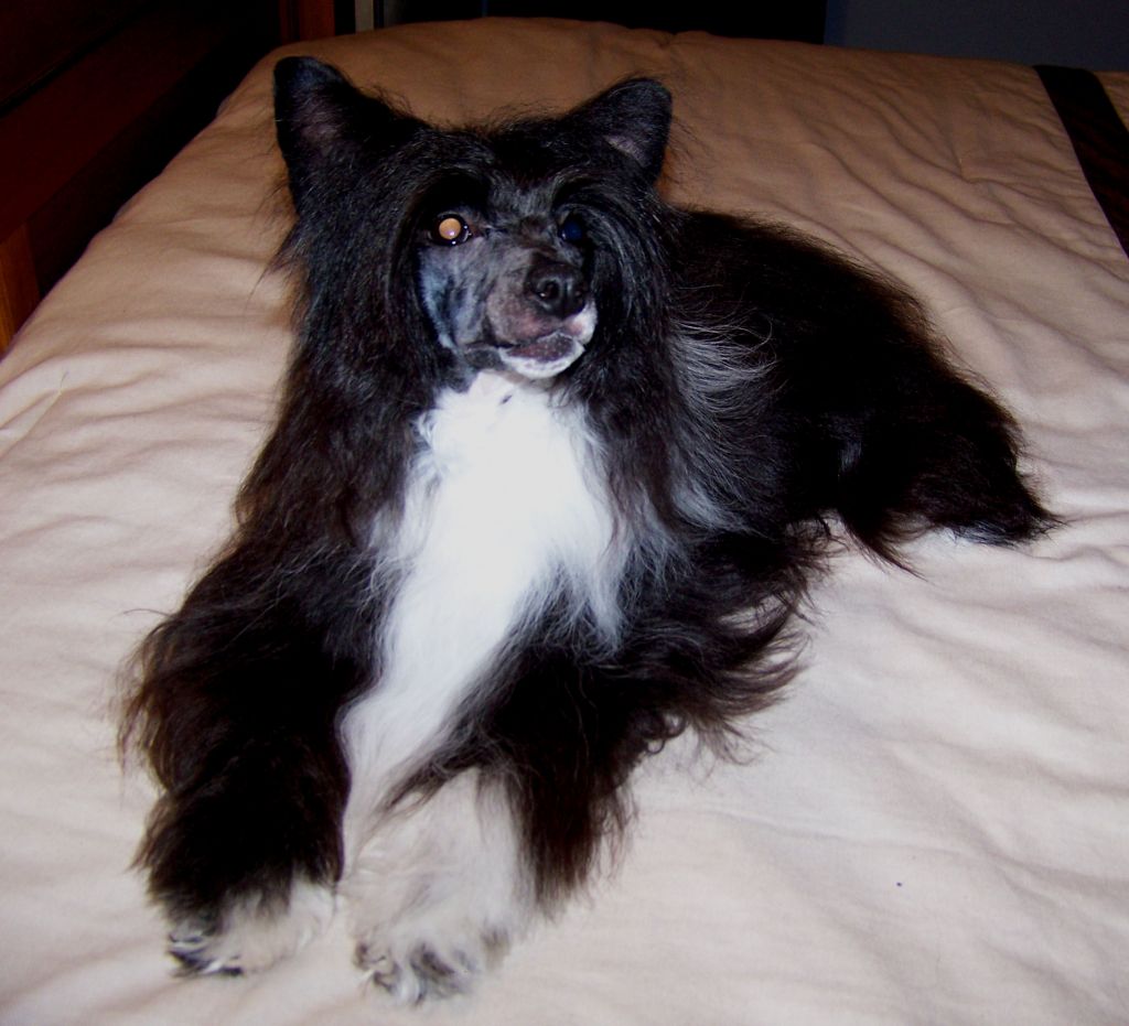 Woodlyn For The Fun Of It