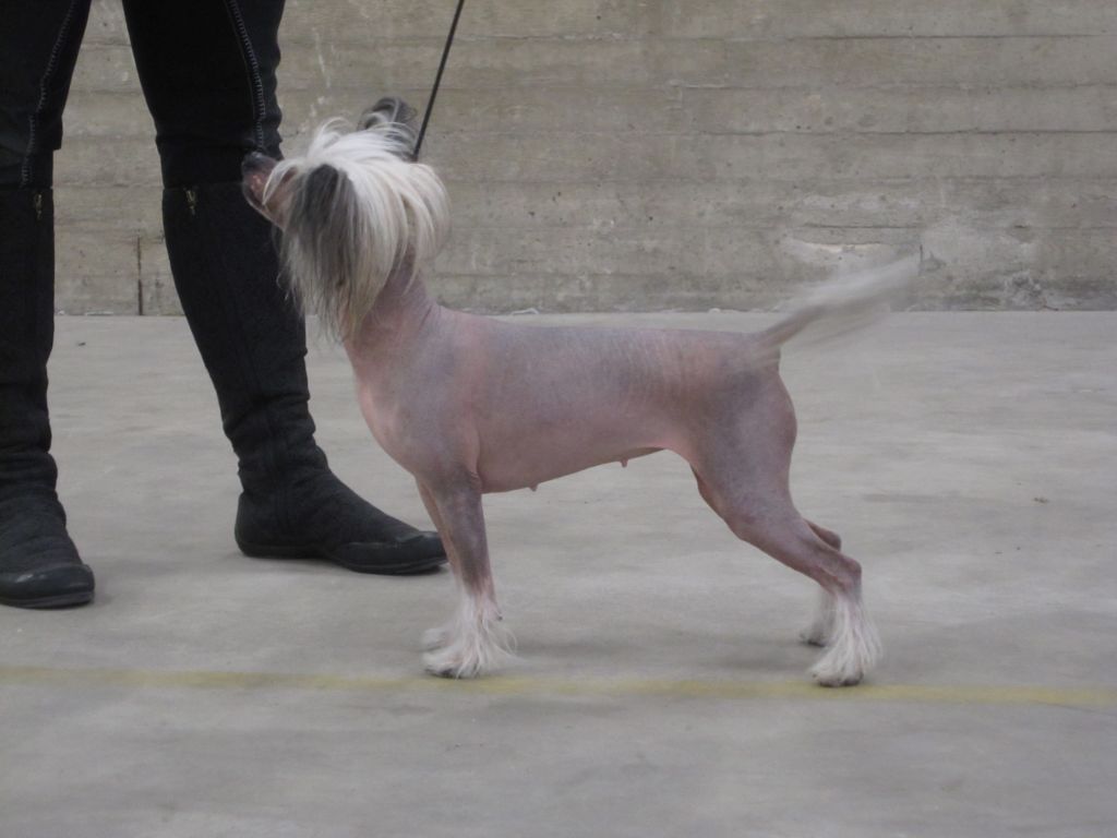 Giandujan Cierreraja