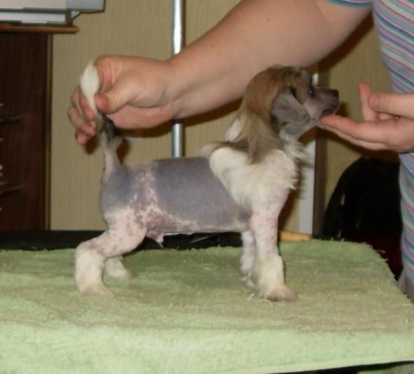 Fancy Style Shershe La Fam