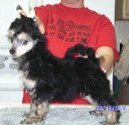 Kalan's Cowboys Best Bet