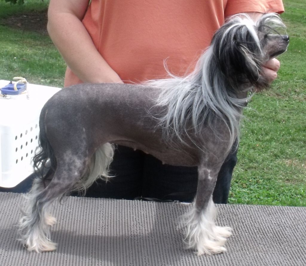 Sonniema Dark Crystal