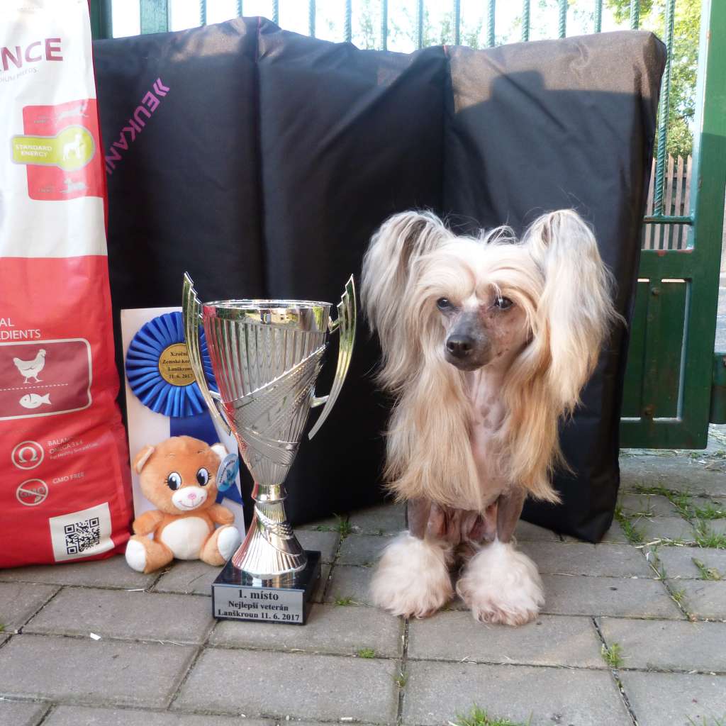 Aidrienn Love z Pulnocního dvora