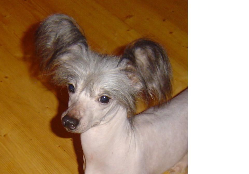 KEEPERS Certova stena