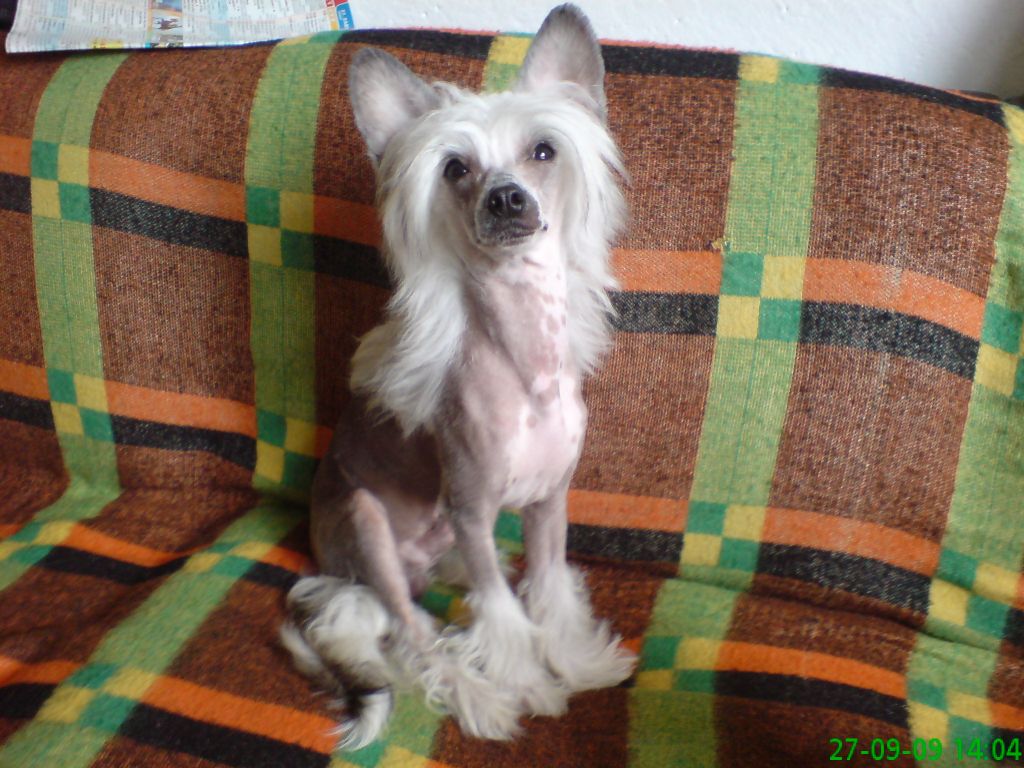 KLENOT Certova stena