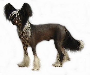 Jamais Sans Toi of Honeycroft