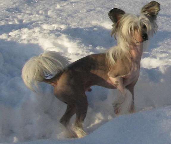 Angelsteps All Or Nothing